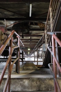 Zeche Zollverein - Kokerei